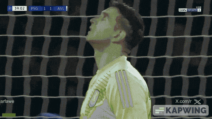 Paris Saint-Germain goal