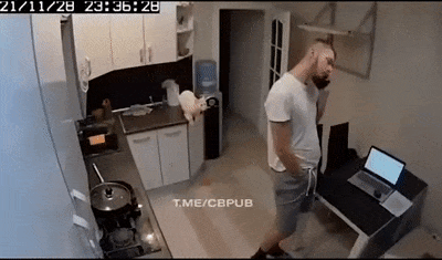 Clumsy cat and jump on his back