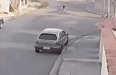 Dogs chase cyclist