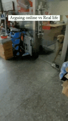 Dogs bark between glass door
