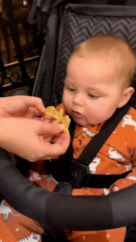 Baby eats lemon
