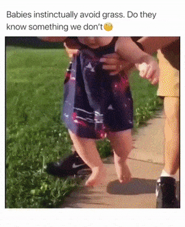 Babies and grass