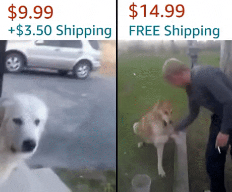 Free Shipping