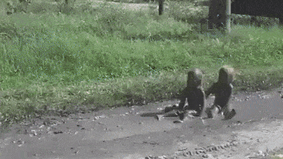 Muddy children