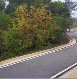 Rally speed