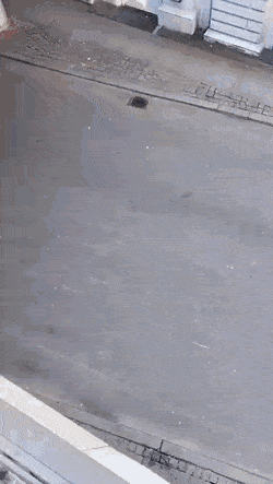 Spider man climbs up building