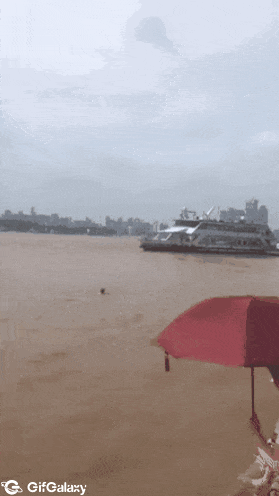 Man in water and dog