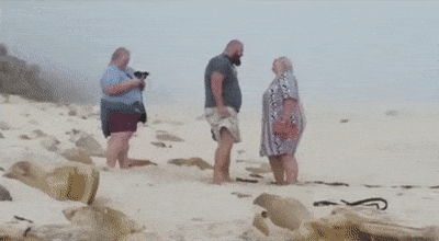 Girl is recording proposal