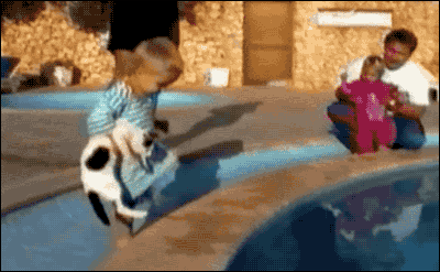 Boy throws cat into fountain
