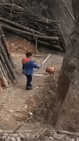 Boy with sword and chicken