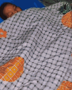Boy sleeps with cats