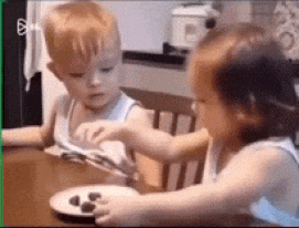 Little girl eats all brother sweets