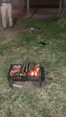 Drone and grill