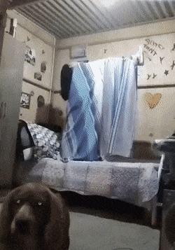 Exorcism parody
