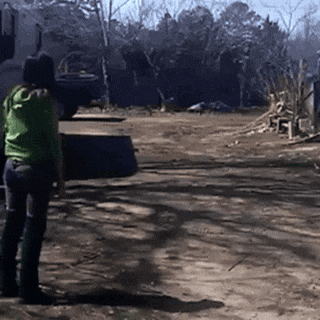 Goose and hug with girl