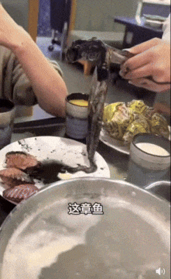 Octopus and dirty girl