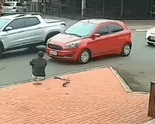 Humane man helps disabled person