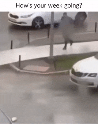 Strong wind and tin