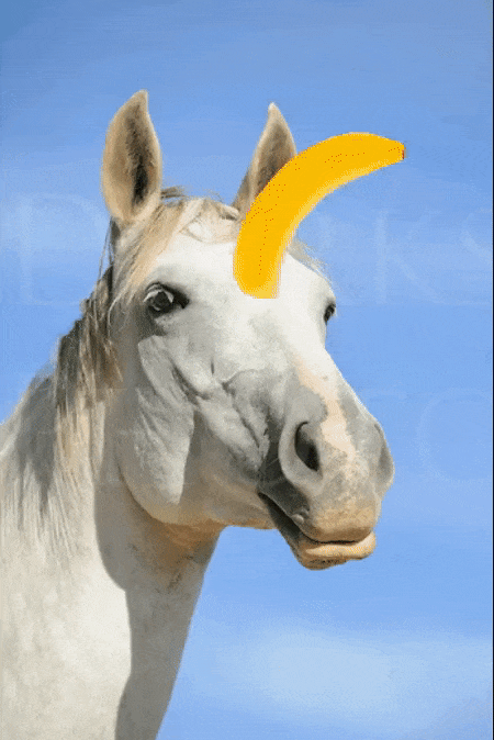 Unicorn horse