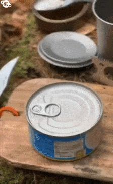 Can of tuna and fire