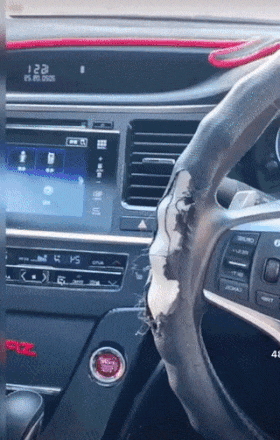 Dog steering wheel