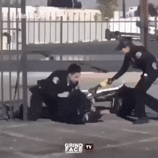 Bicycle thief and police