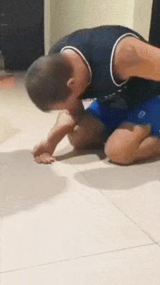 Kitten plays with man