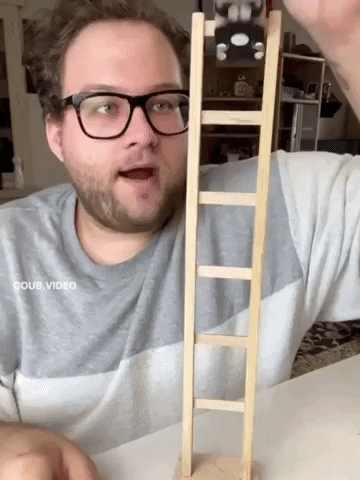 Cat and ladder
