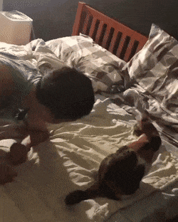 Cat and guy in bed