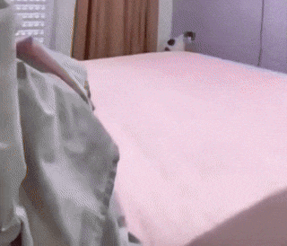 Dirty cat and clean bed
