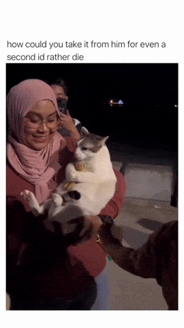 Cat hugged toy