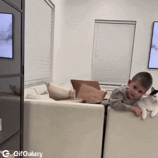 Cat calls for help