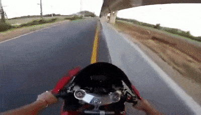 Motorcyclist feeds homeless dogs