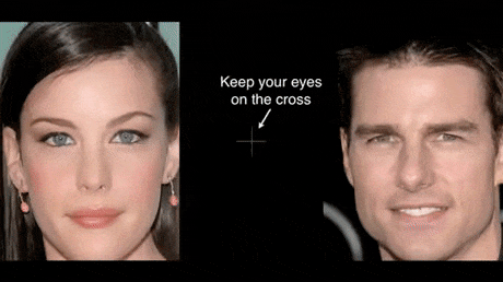 Optical illusion with famous personalities