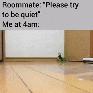 Parrot at 4 in morning