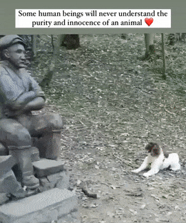 Dog reaches stick to sculpted man