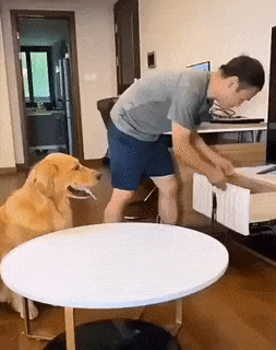 Clever dog food thief