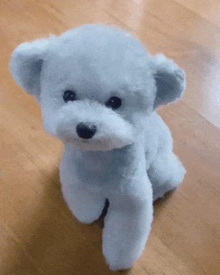 Dog bear