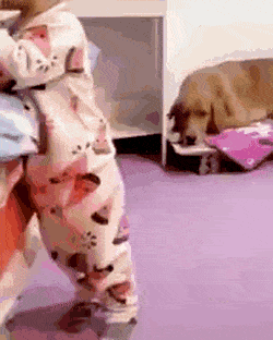 Dog helps child