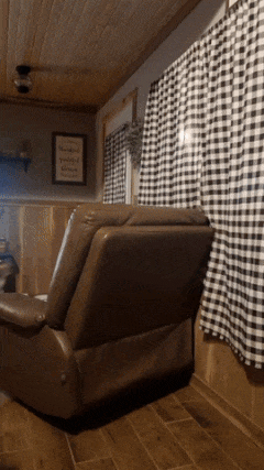 Dog moves curtain