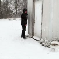 Ducks and snow