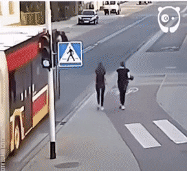 Drunk girls and bus