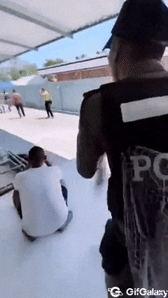 Policeman with net catches thief