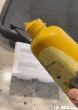 Mustard ice cream
