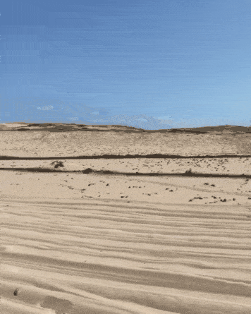Skipping shadow