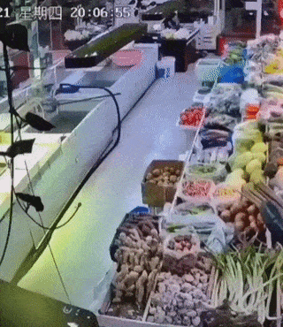 Fish and merchant