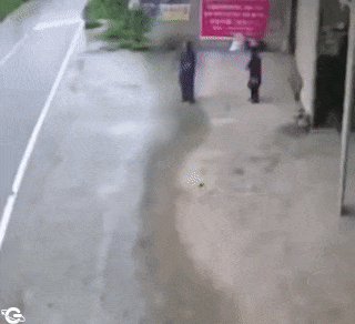Accident with van