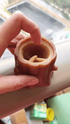 Silicone toy squirrel