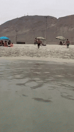 Jump into sea on sand