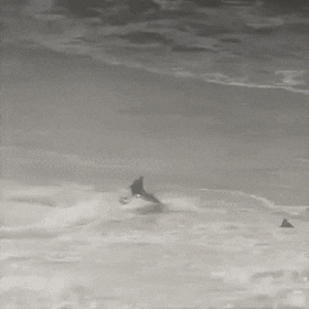 Rescue from a big wave